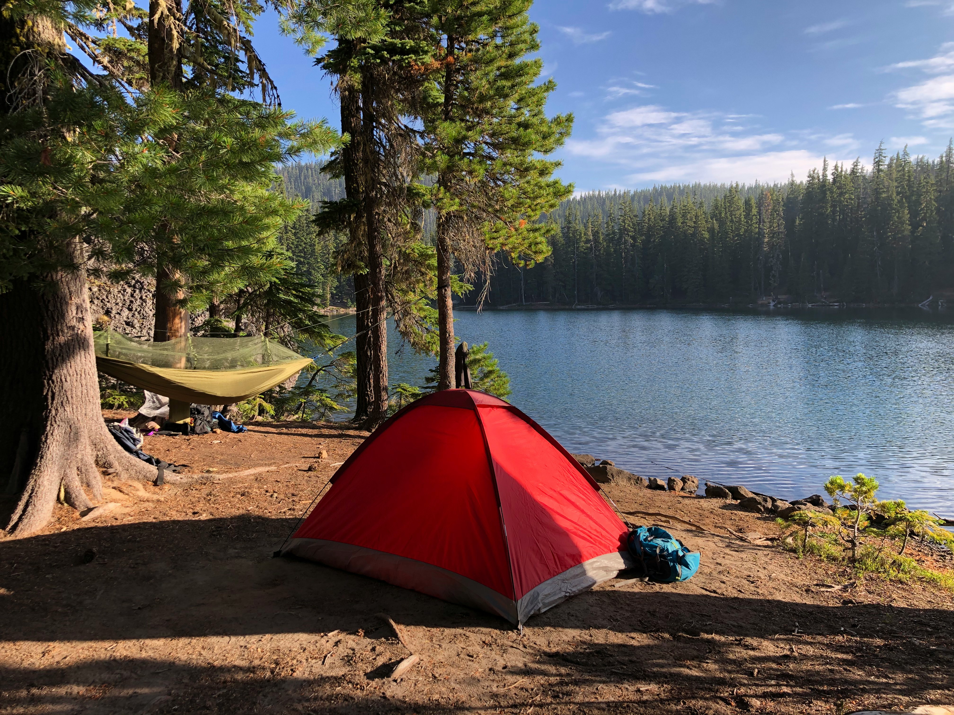View of Kinbasket Lake Resort accommodations