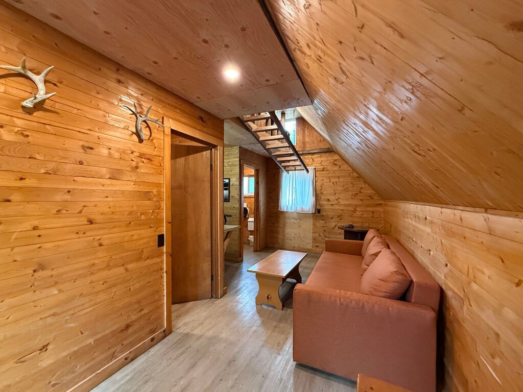 Cabin2_6